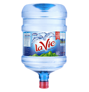 LaVie 19L