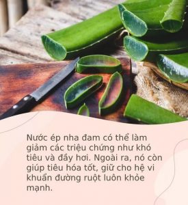 Nha Đam
