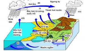 Nước ngầm
