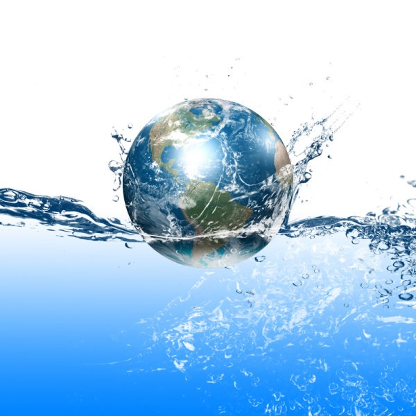 Vai trò sinh học của nước: Tại sao nước cần thiết cho sự sống?